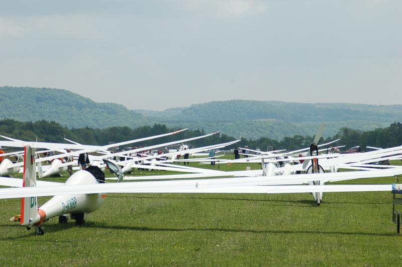 2010_Farrenberg