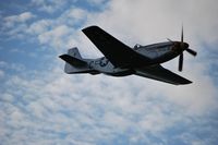 Mustang_thumb